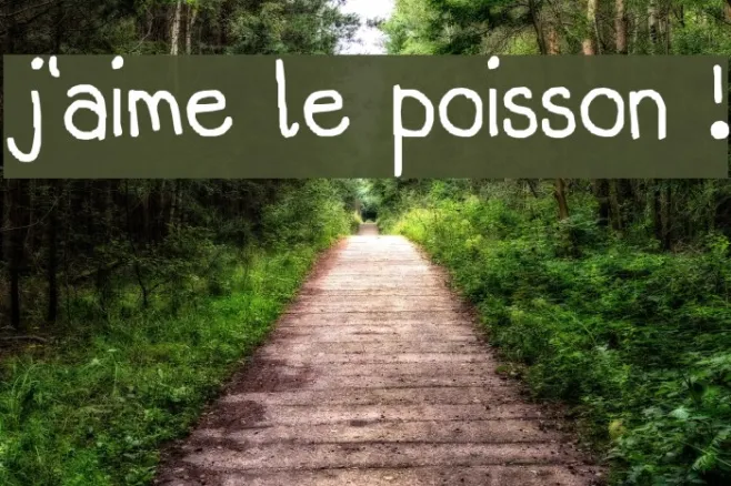 j'aime le poisson ! Example 1