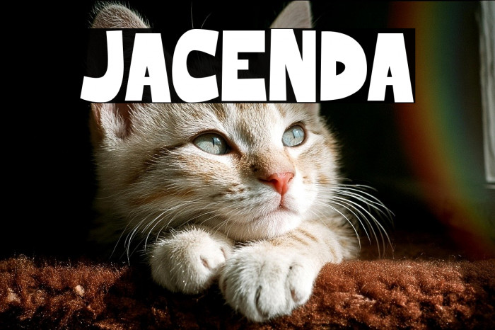 JACENDA Example 1