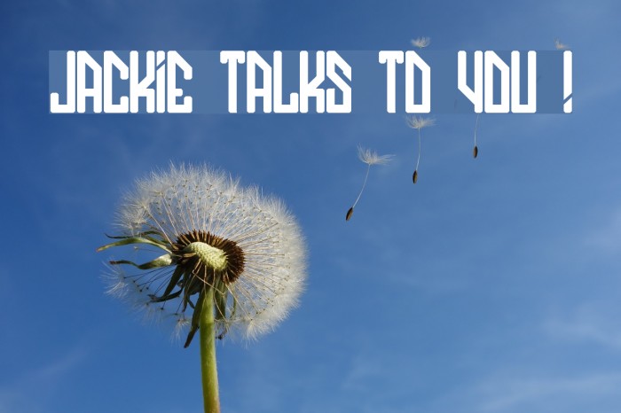JACKIE TALKS TO YOU ! Example 1