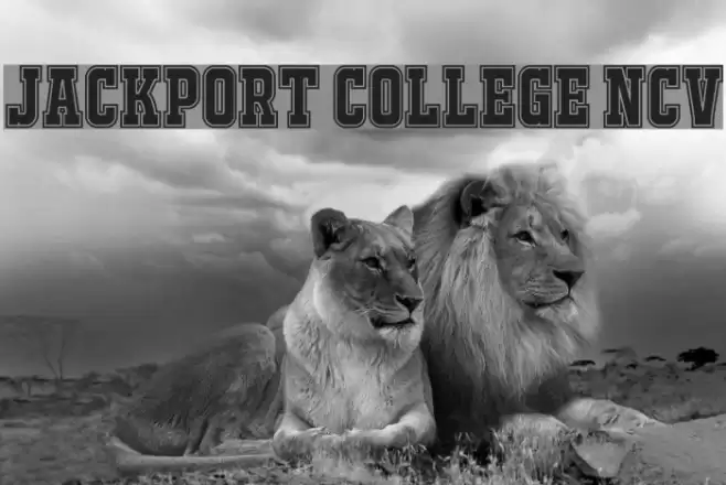 JACKPORT COLLEGE NCV Polices examples