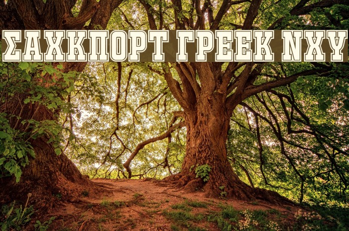 JACKPORT GREEK NCV Font examples