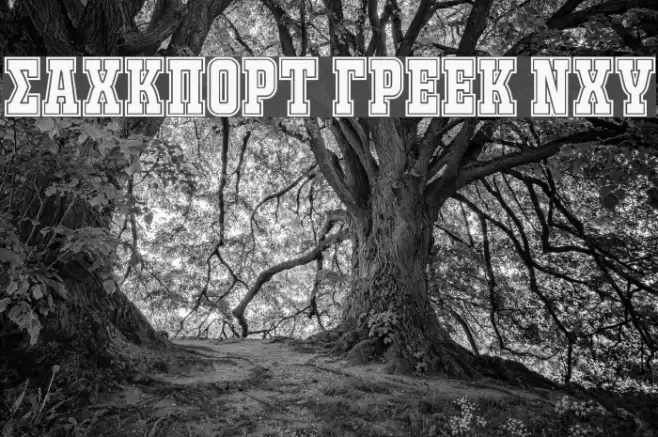 JACKPORT GREEK NCV Font examples