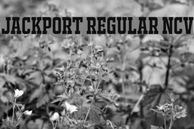JACKPORT REGULAR NCV Fuentes examples