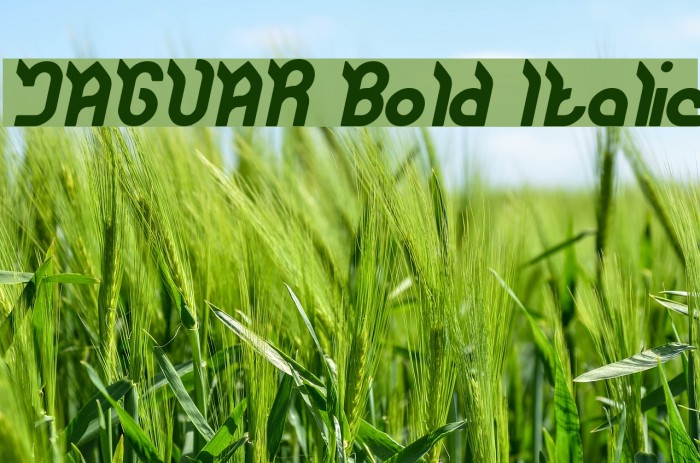 JAGUAR Bold Italic Example 3