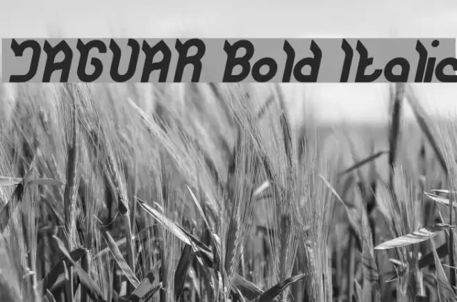 JAGUAR Bold Italic Font examples