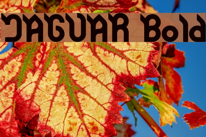 JAGUAR Bold Font examples