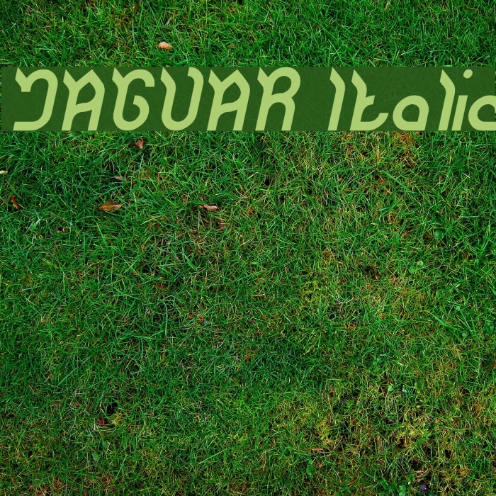 JAGUAR Italic Font examples
