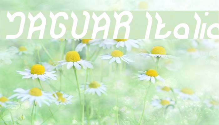 JAGUAR Italic Font examples