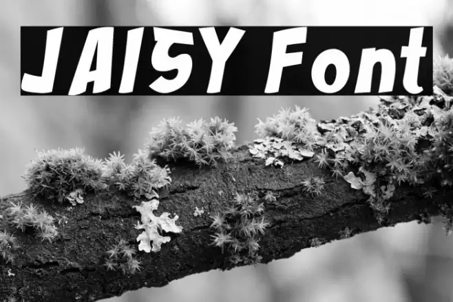 JAISY Font examples