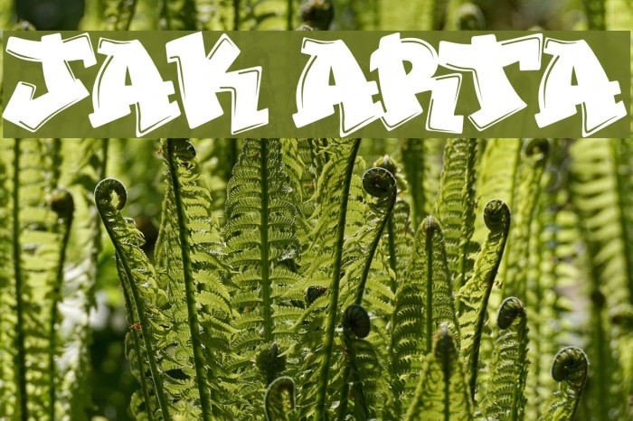 JAK ARTA Font examples