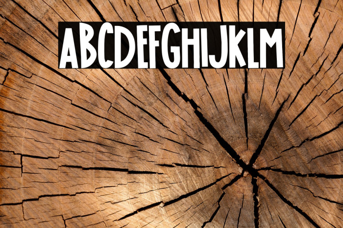 JAKARTA LEGAL AID INSTITUTE Font examples