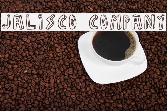 JALISCO COMPANY Polices examples