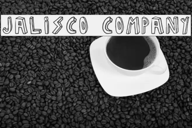 JALISCO COMPANY Polices examples