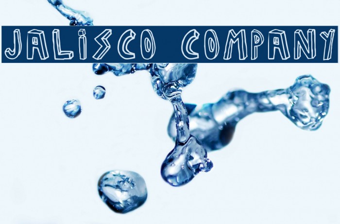 JALISCO COMPANY Polices examples
