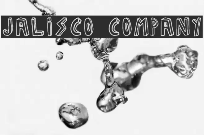 JALISCO COMPANY Polices examples