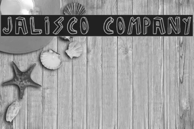 JALISCO COMPANY Polices examples