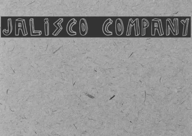 JALISCO COMPANY Polices examples