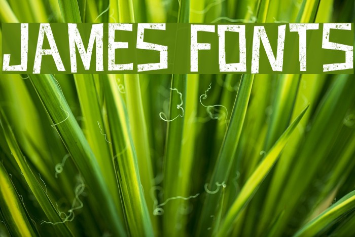 JAMES FONTS Font examples