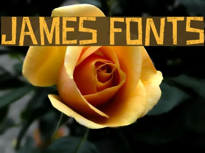 JAMES FONTS Example 3