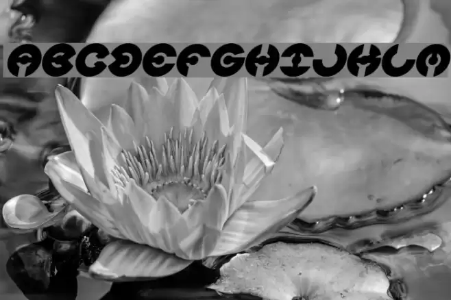 JAMES GLOVER Bold Italic Font examples