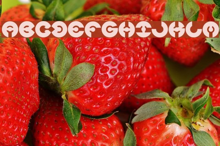 JAMES GLOVER Bold Font examples