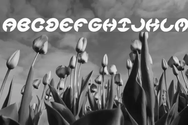 JAMES GLOVER Italic Font examples