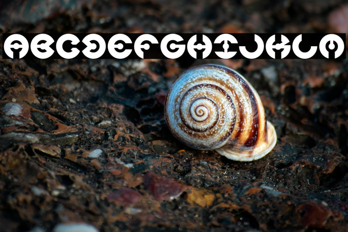 JAMES GLOVER Example 1