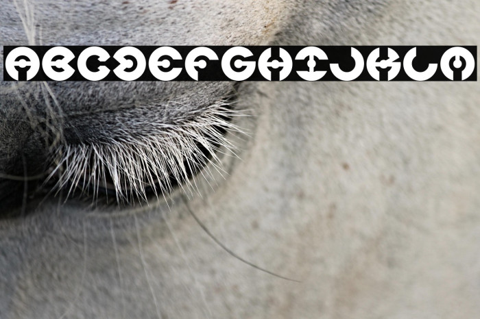 JAMES GLOVER Example 3