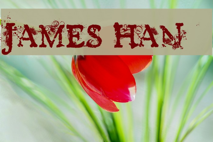 JAMES HAN Font examples