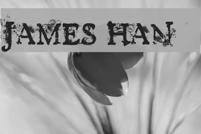 JAMES HAN फ़ॉन्ट examples