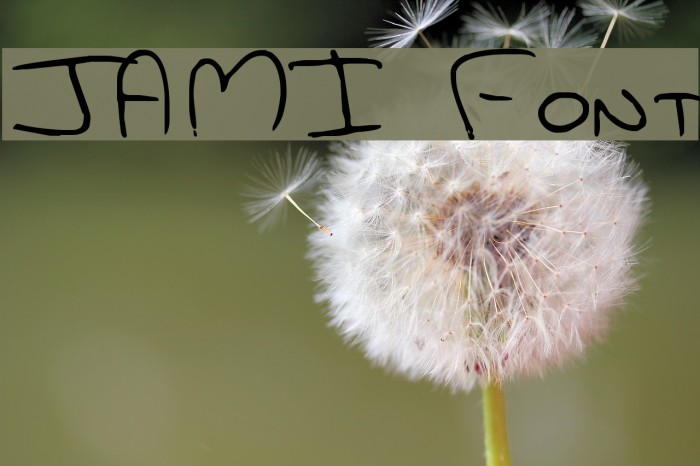JAMI Font examples