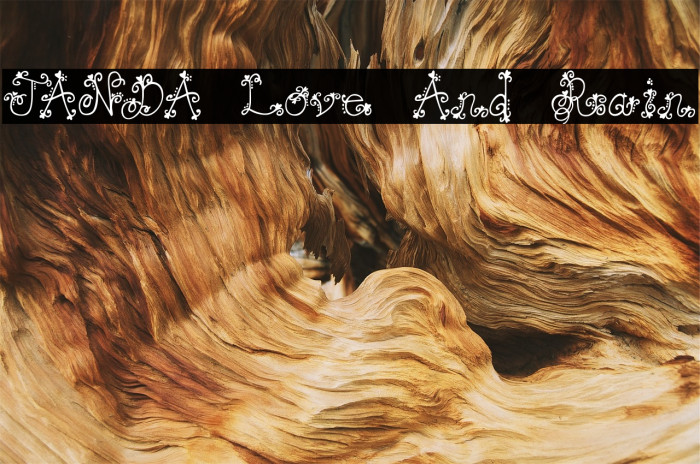 JANDA Love And Rain Font examples
