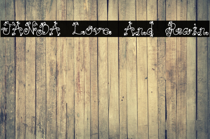 JANDA Love And Rain Font examples