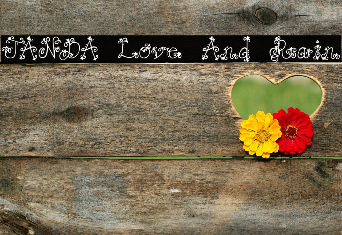 JANDA Love And Rain Font examples