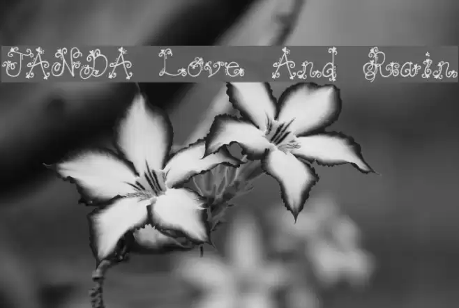 JANDA Love And Rain Font examples