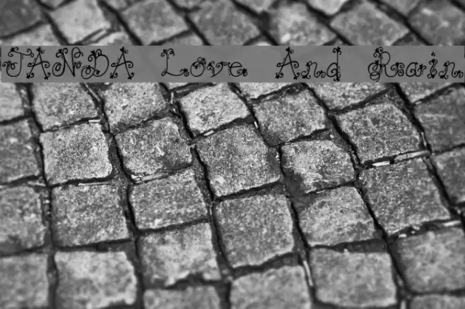 JANDA Love And Rain Font examples