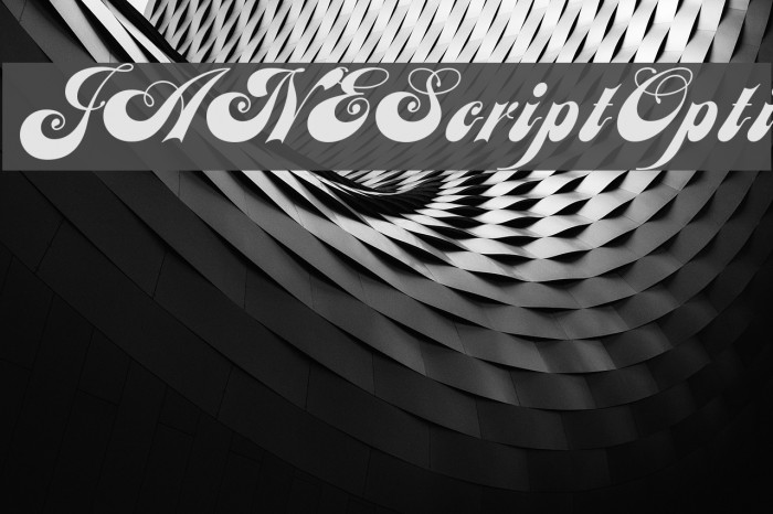 JANEScriptOpti Font examples