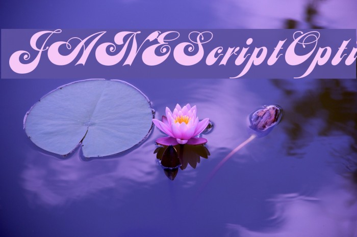 JANEScriptOpti Font examples