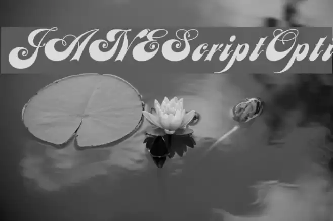 JANEScriptOpti Font examples