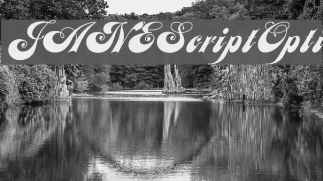 JANEScriptOpti Font examples