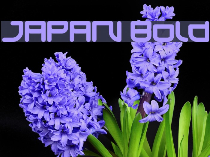 JAPAN Bold Example 3