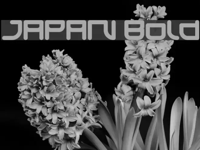 JAPAN Bold Font examples
