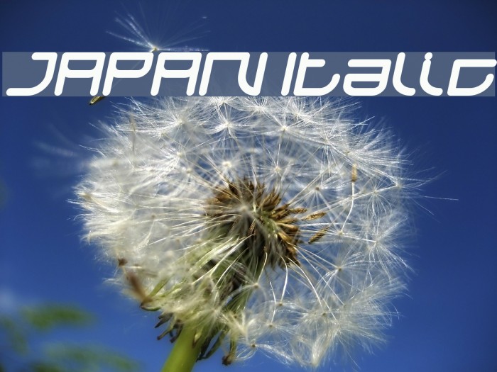 JAPAN Italic Example 3