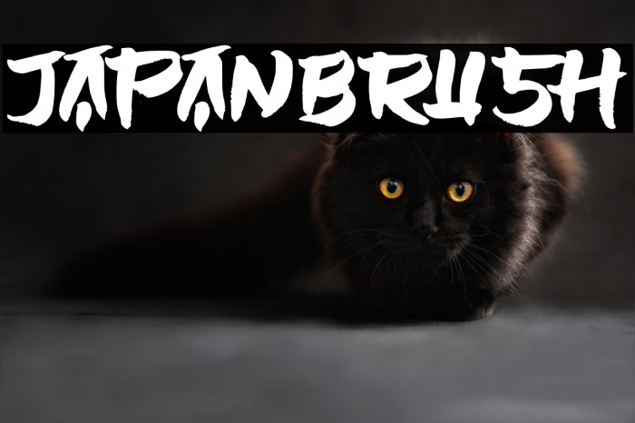 JAPANBRUSH Example 1