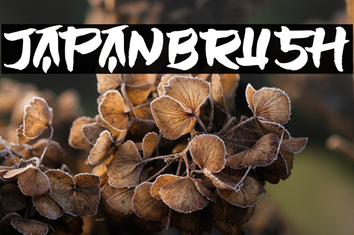 JAPANBRUSH Example 3