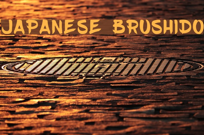 JAPANESE BRUSHIDO Font examples