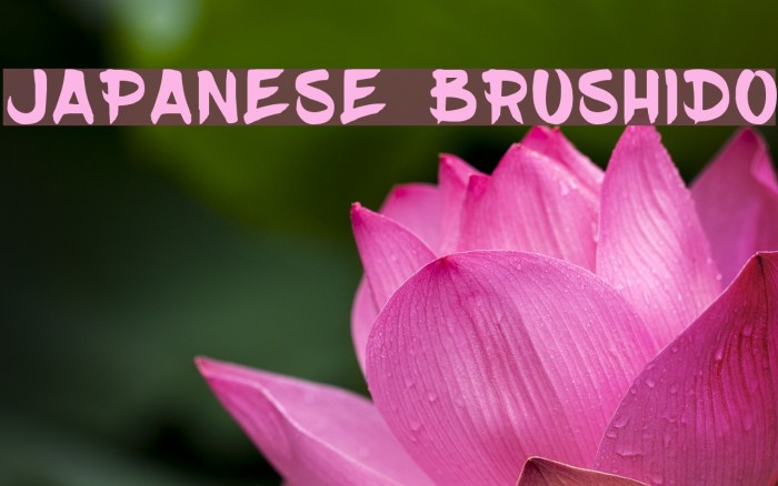 JAPANESE BRUSHIDO Font examples