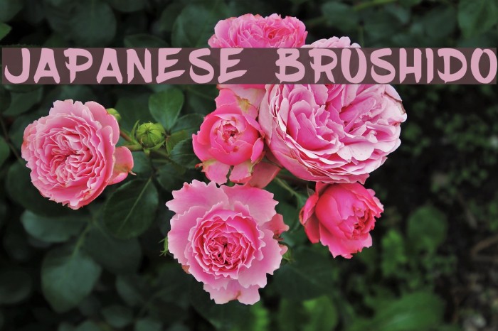 JAPANESE BRUSHIDO Font examples
