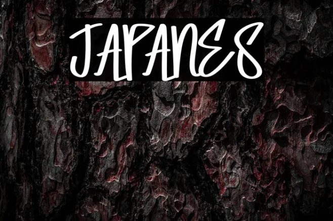 JAPANES Example 1