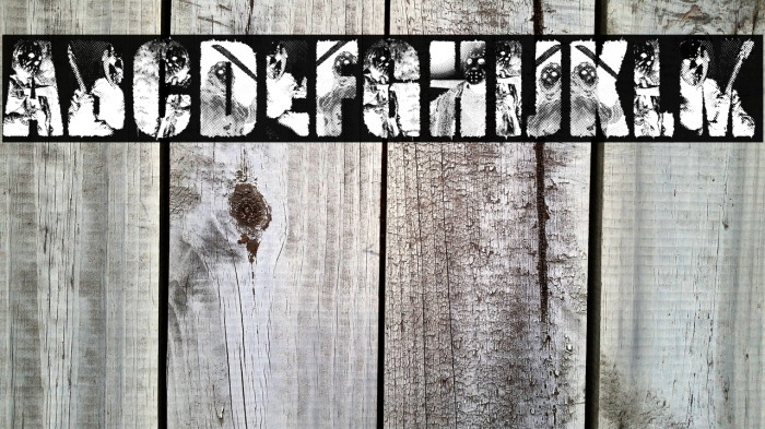 JASON PERSONAL USE Bold Example 2